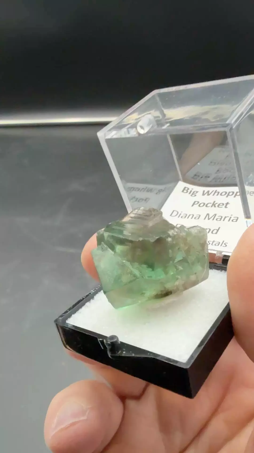 Big Whopper Pocket thumbnail