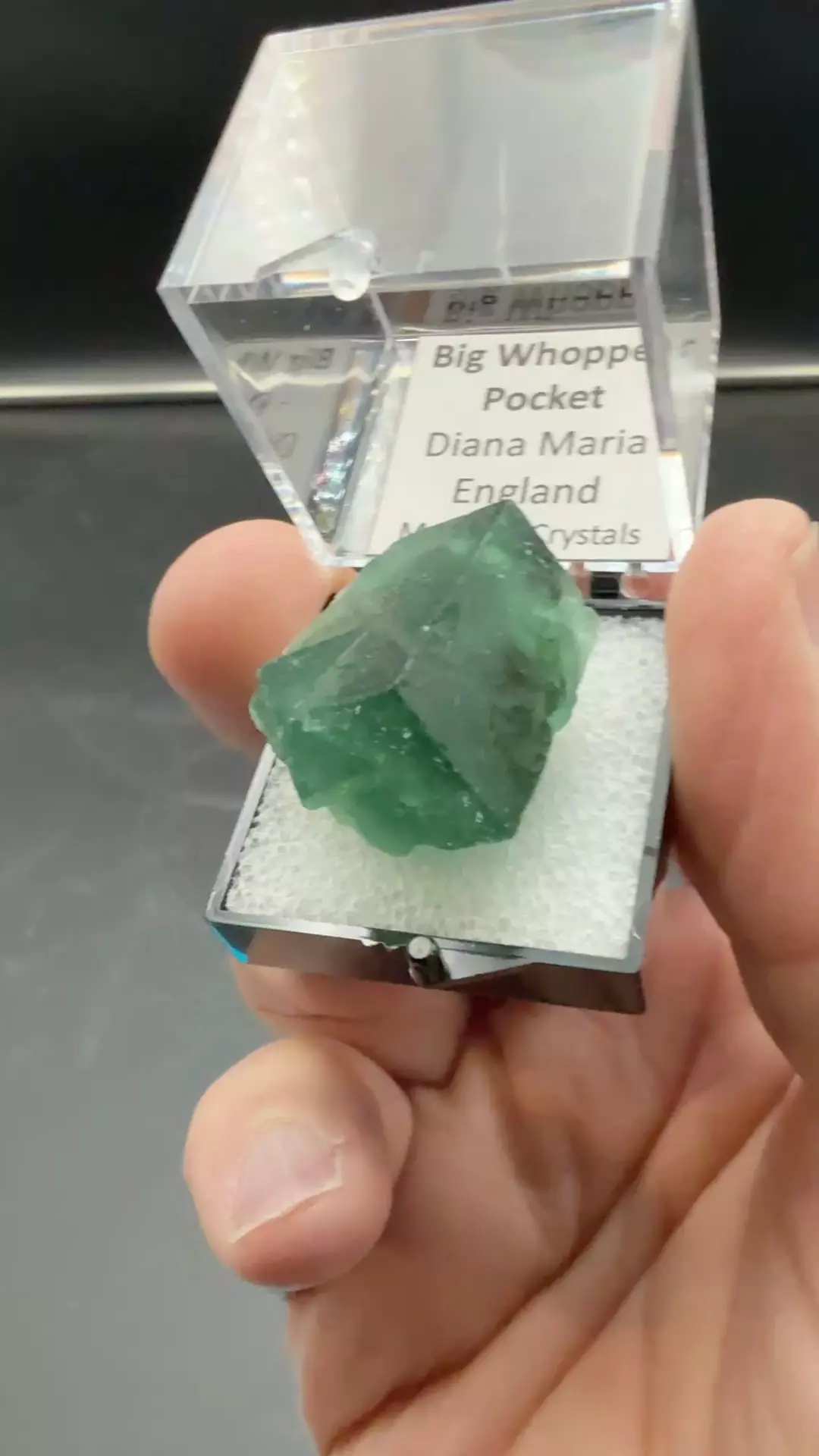 Big whopper pocket thumbnail