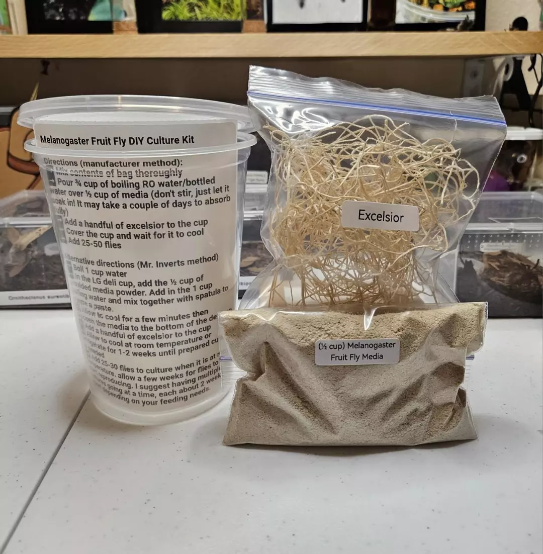 3-PACK Melanogaster Fruit Fly DIY kit thumbnail