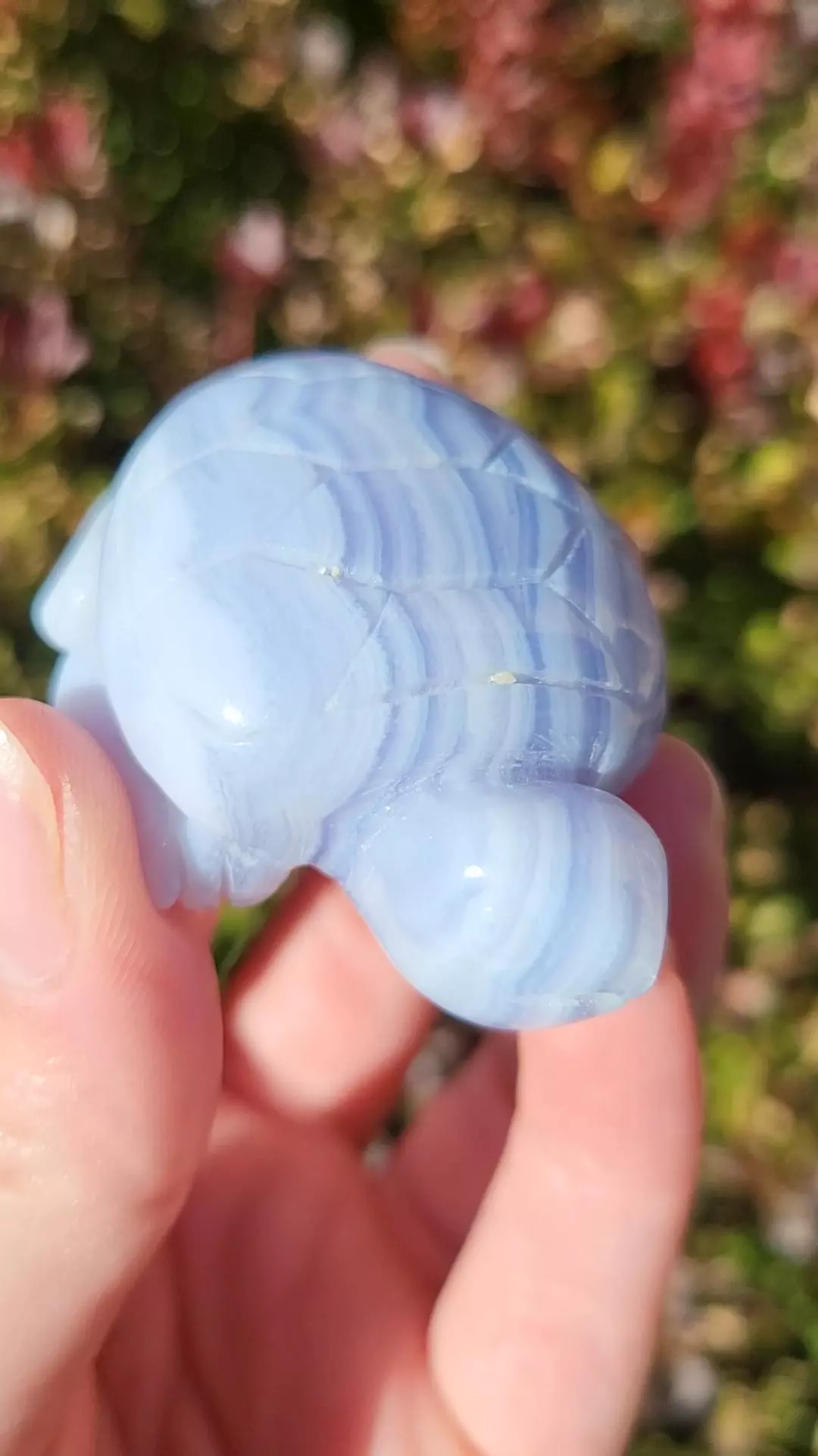Blue lace agate turtle thumbnail