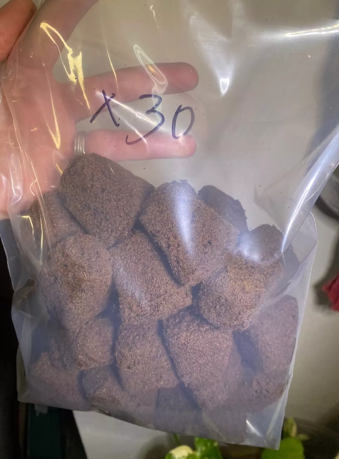 30 x root brownie plugs thumbnail