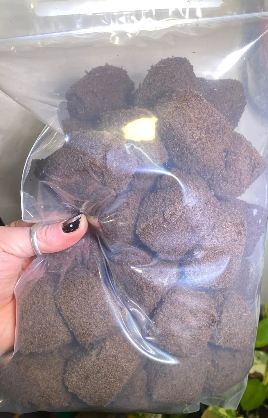 40x root brownies thumbnail