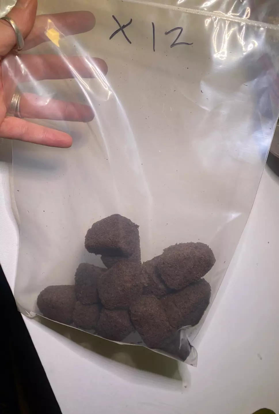 12x brownie plugs thumbnail