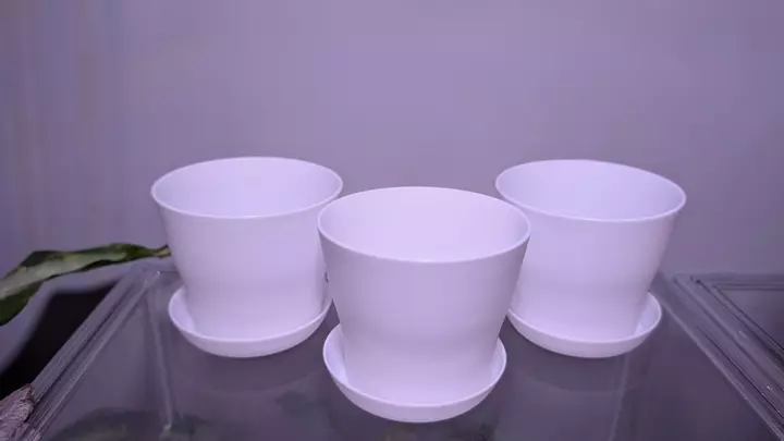 Set of 3 - 4 in white pots thumbnail