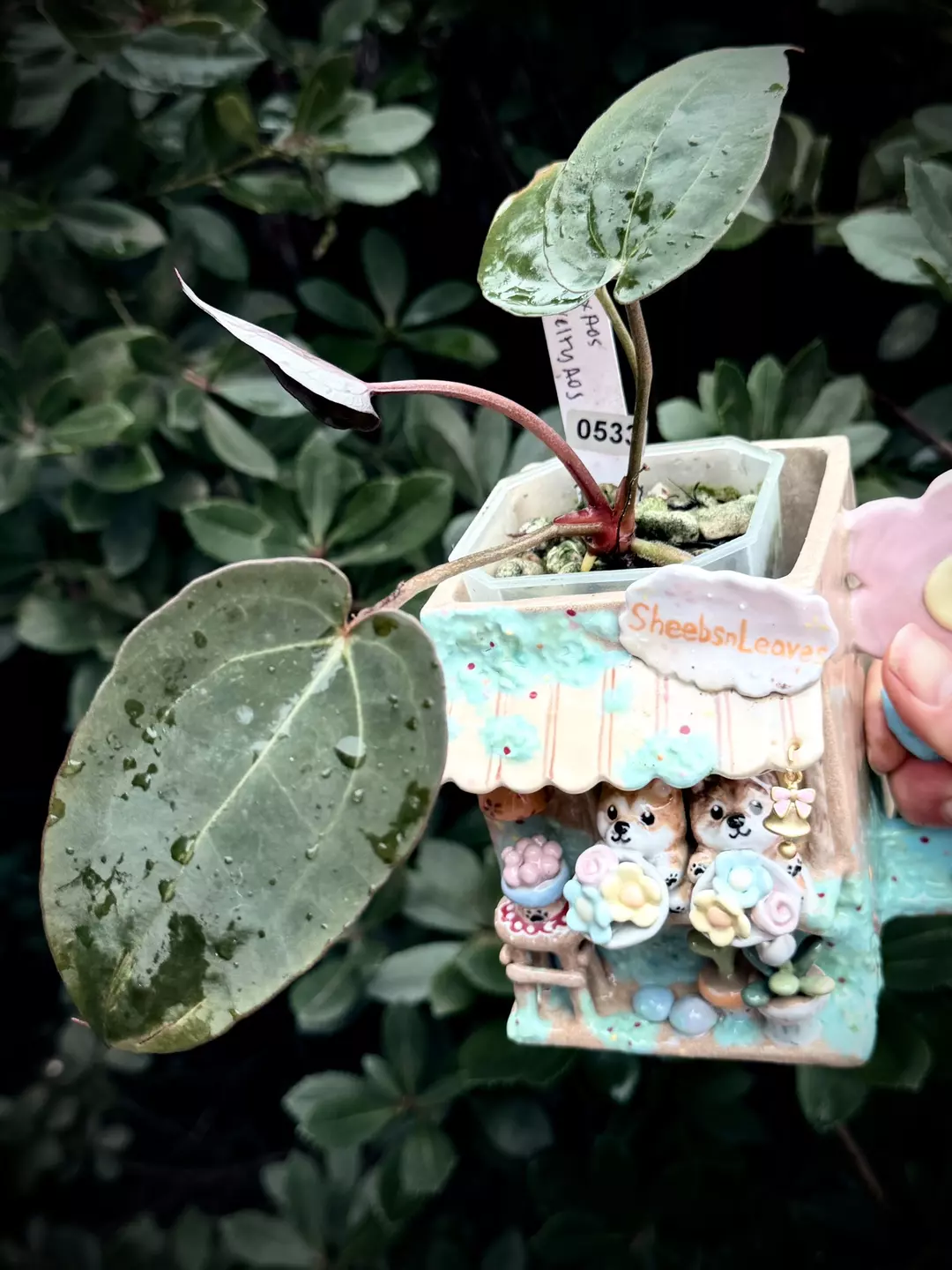 (RC x AOS) X Novelty AOS 0533 L thumbnail