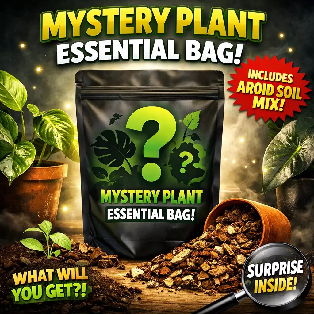 Mystery plant essential bag thumbnail