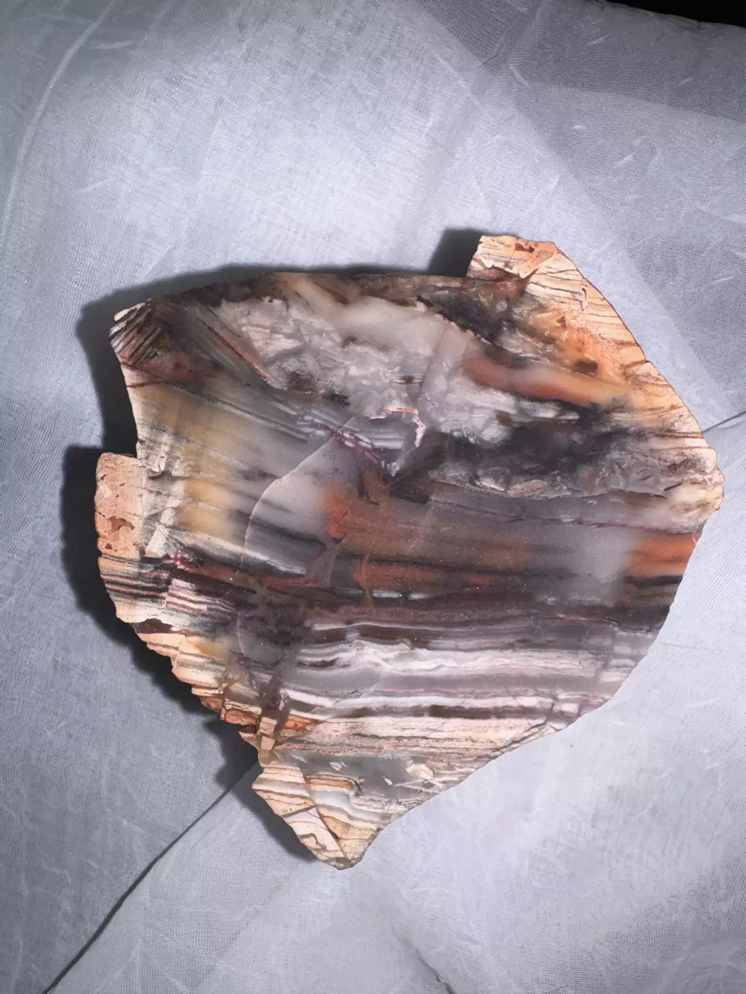 Kowallabe Quartzite Slice, unpolished thumbnail