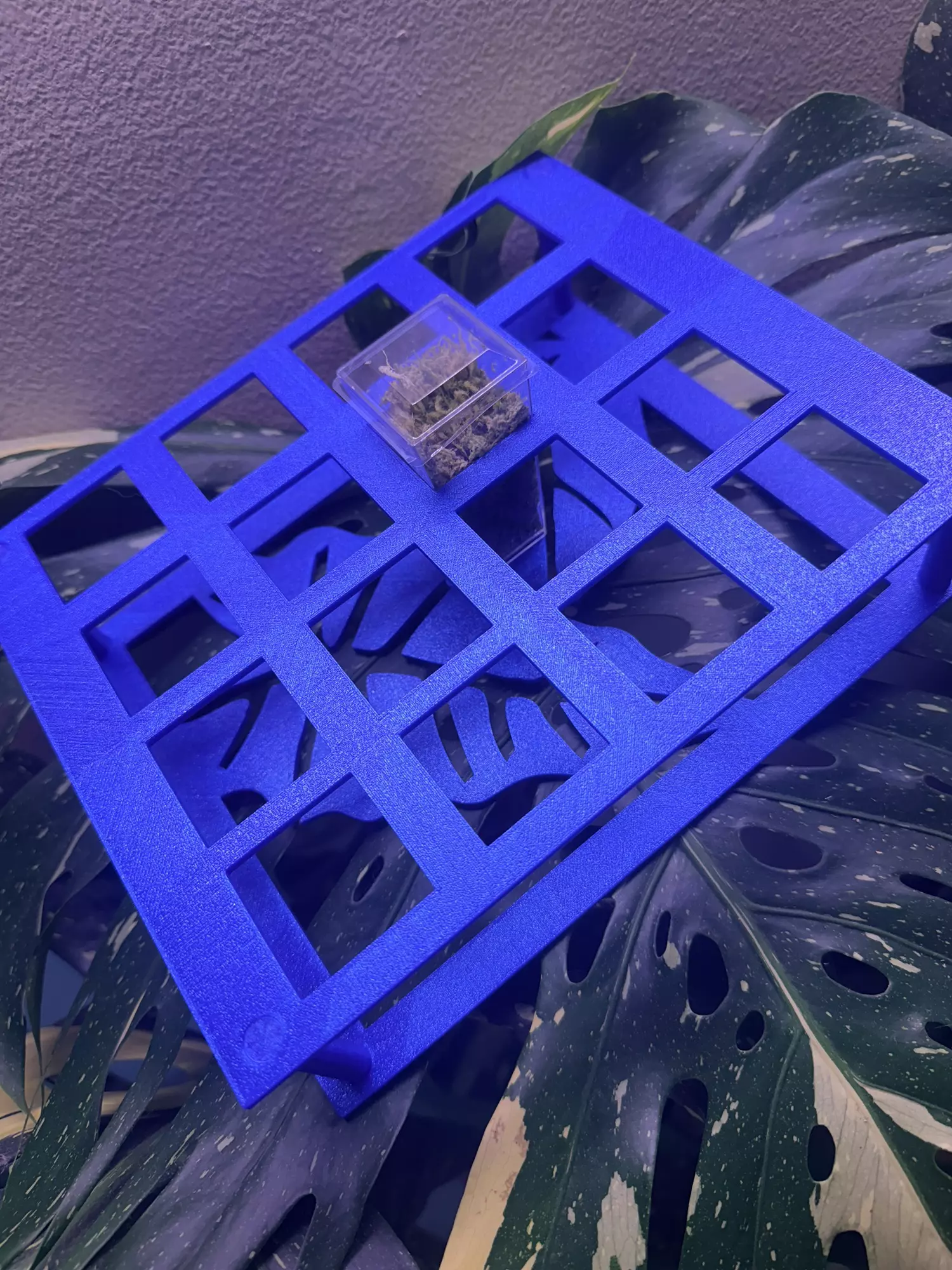 plant/Custom square corm cup holder with cups-1