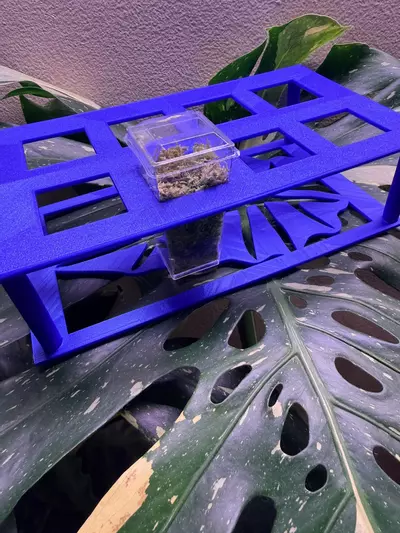 plant/Custom square corm cup holder with cups-1-thumbnail