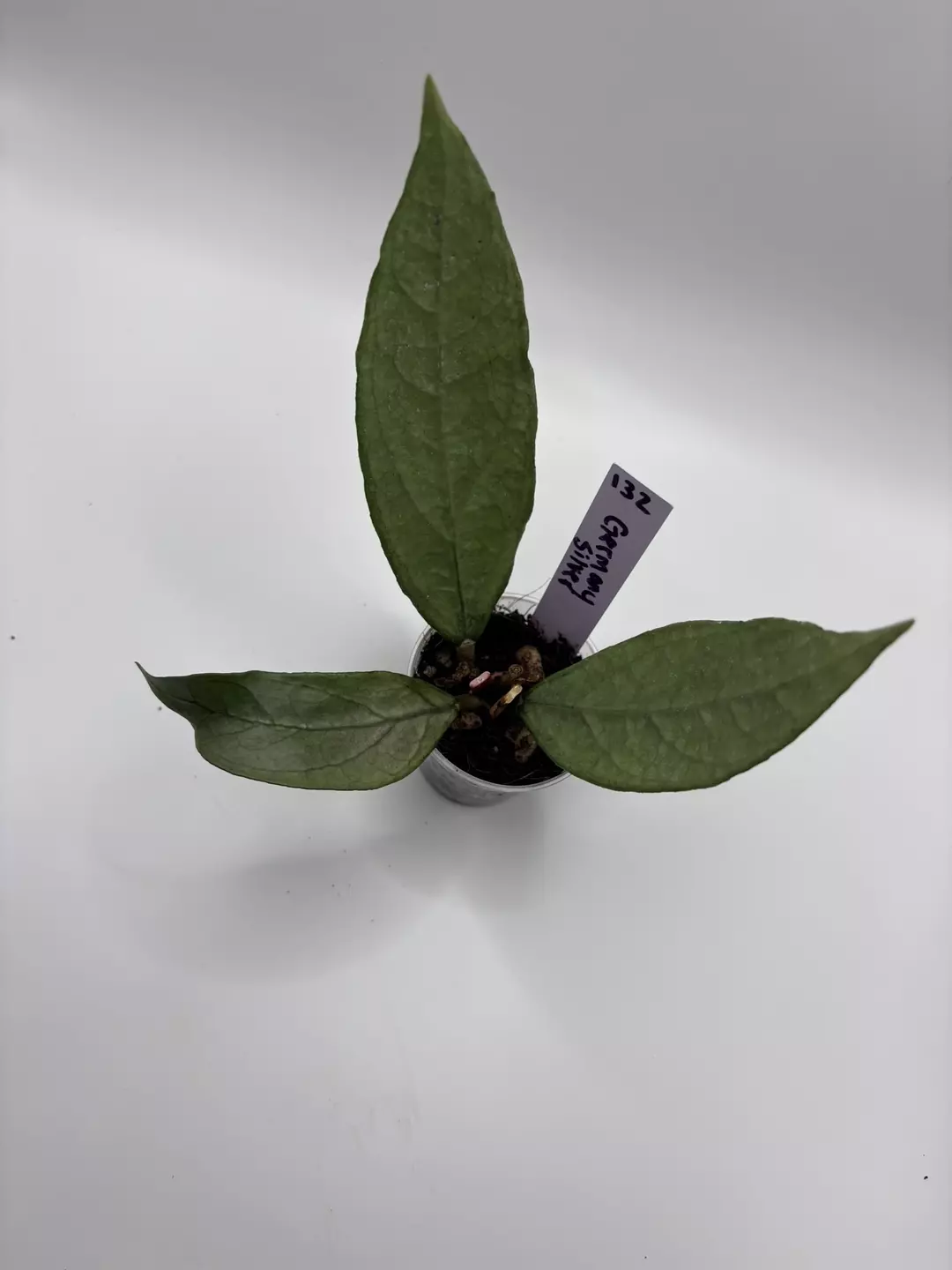 132 - Germany Silver thumbnail