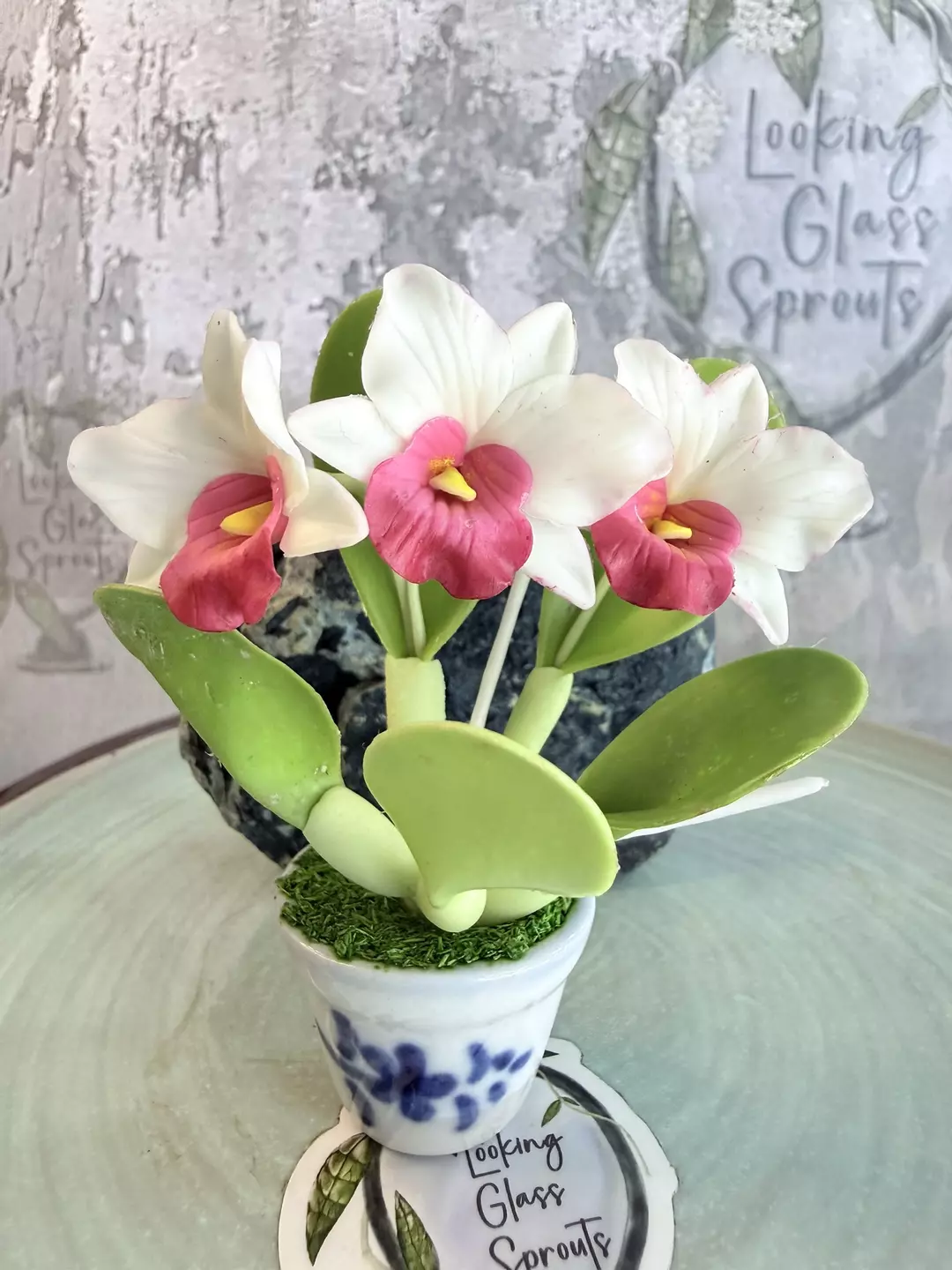 For the Orchid lover - pink lipped Cattleya magnet thumbnail