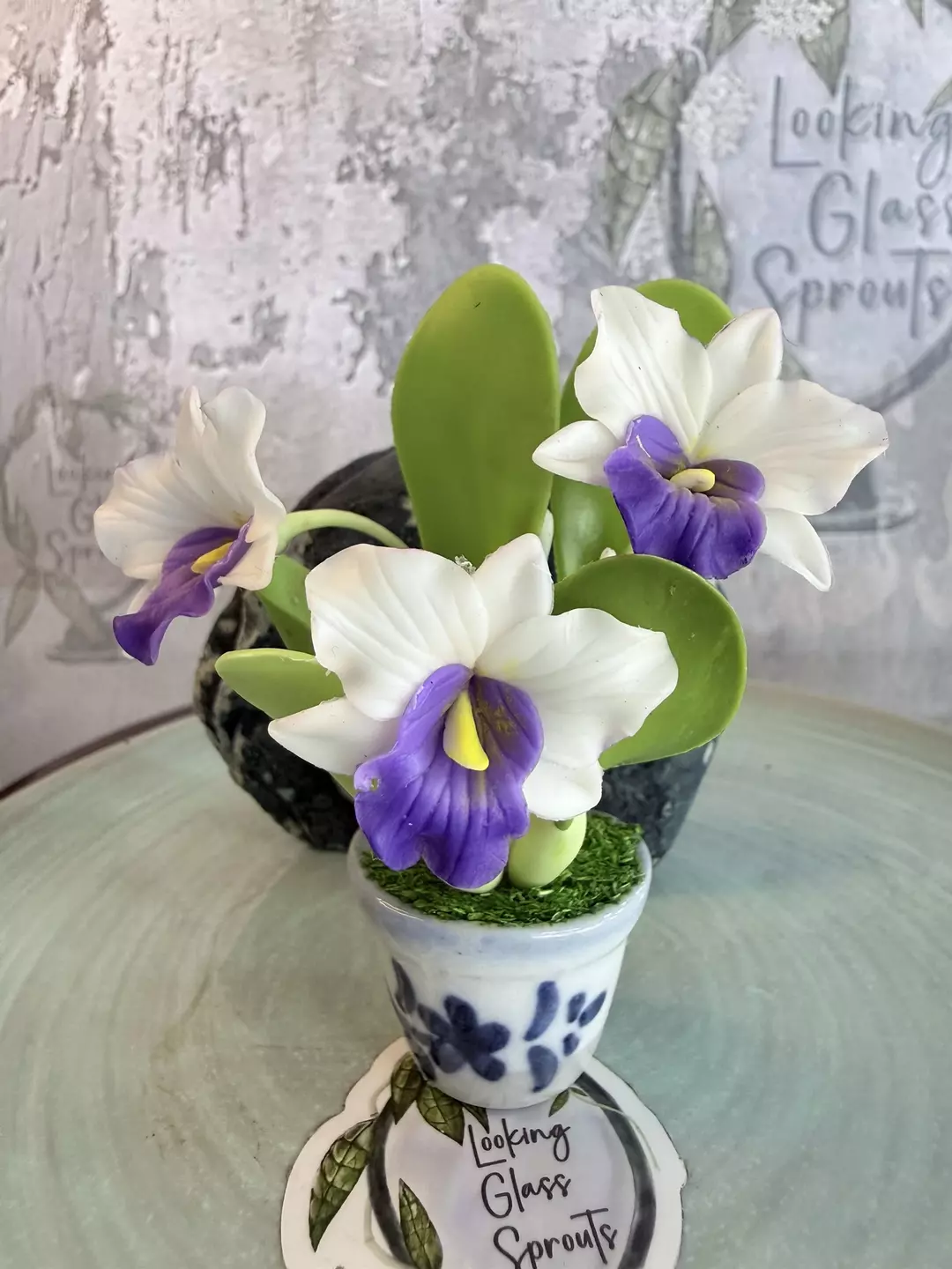 For the Orchid lover - Purple Lipped Cattleya magnet thumbnail