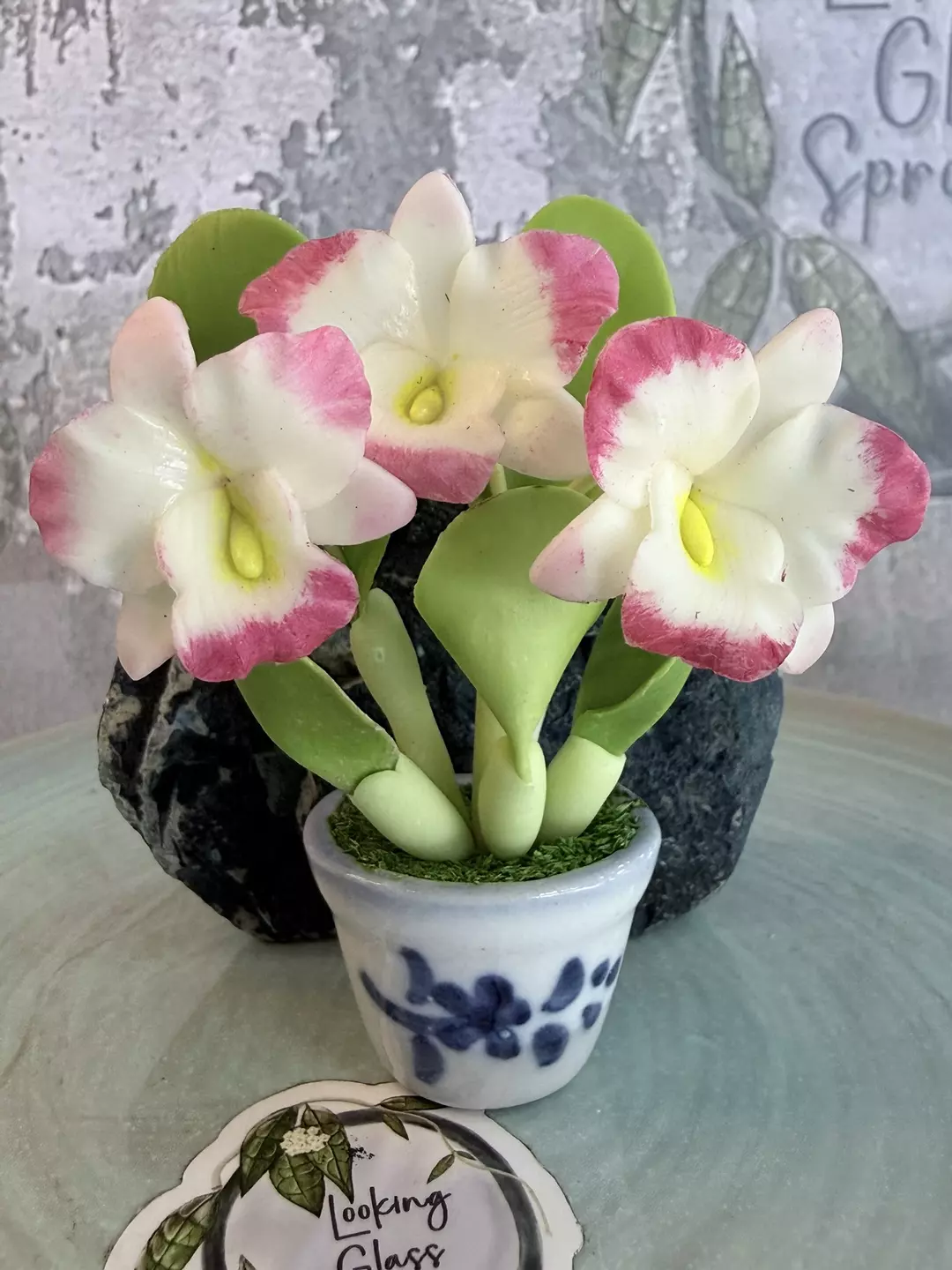 For the Orchid lover - Pink edged Cattleya magnet thumbnail