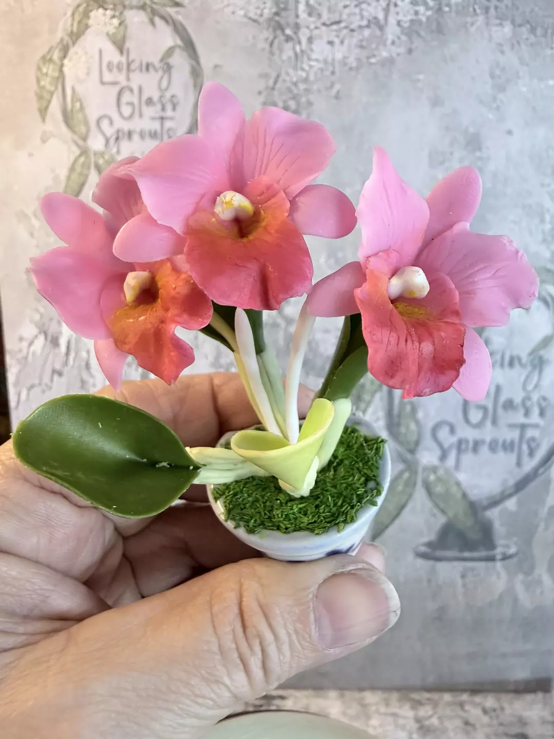 For the orchid lovers in the crowd - Pink Cattleya magnet thumbnail