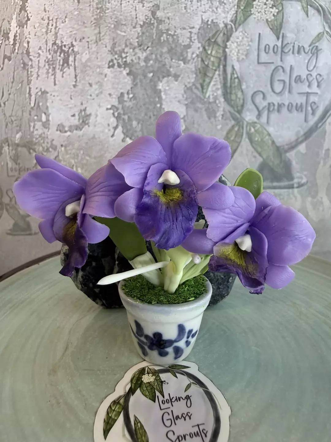 For the Orchid Lover - Purple Cattleya magnet thumbnail