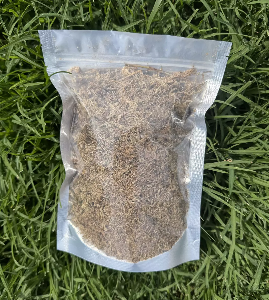 Sphagnum Moss 1 Quart thumbnail