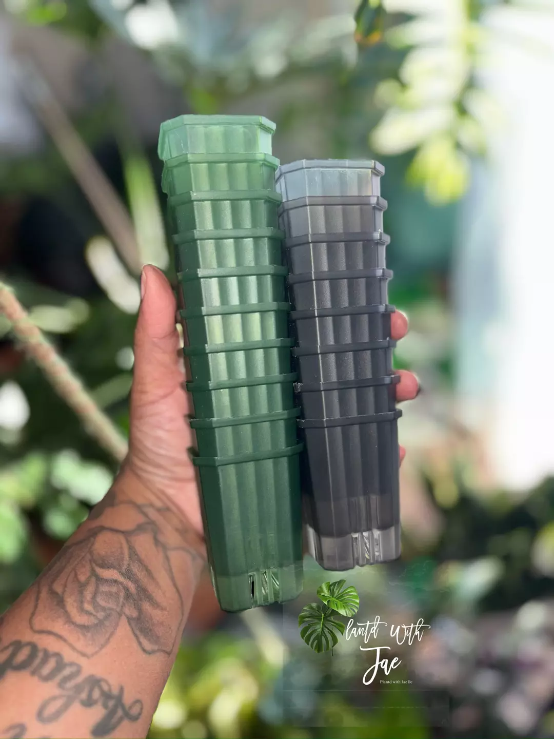 Transparent seedling planters (black) set of 5 thumbnail