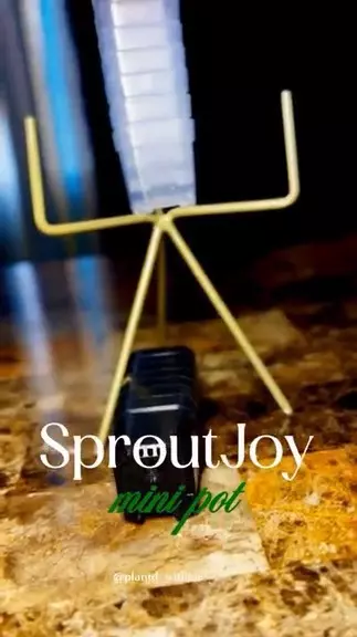 Sprout joy mini planters (set of 4) thumbnail