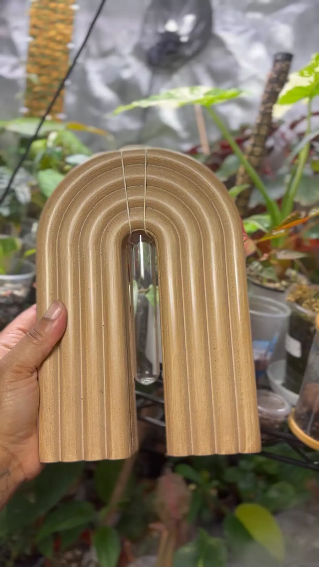 Wooden rainbow propagation station thumbnail