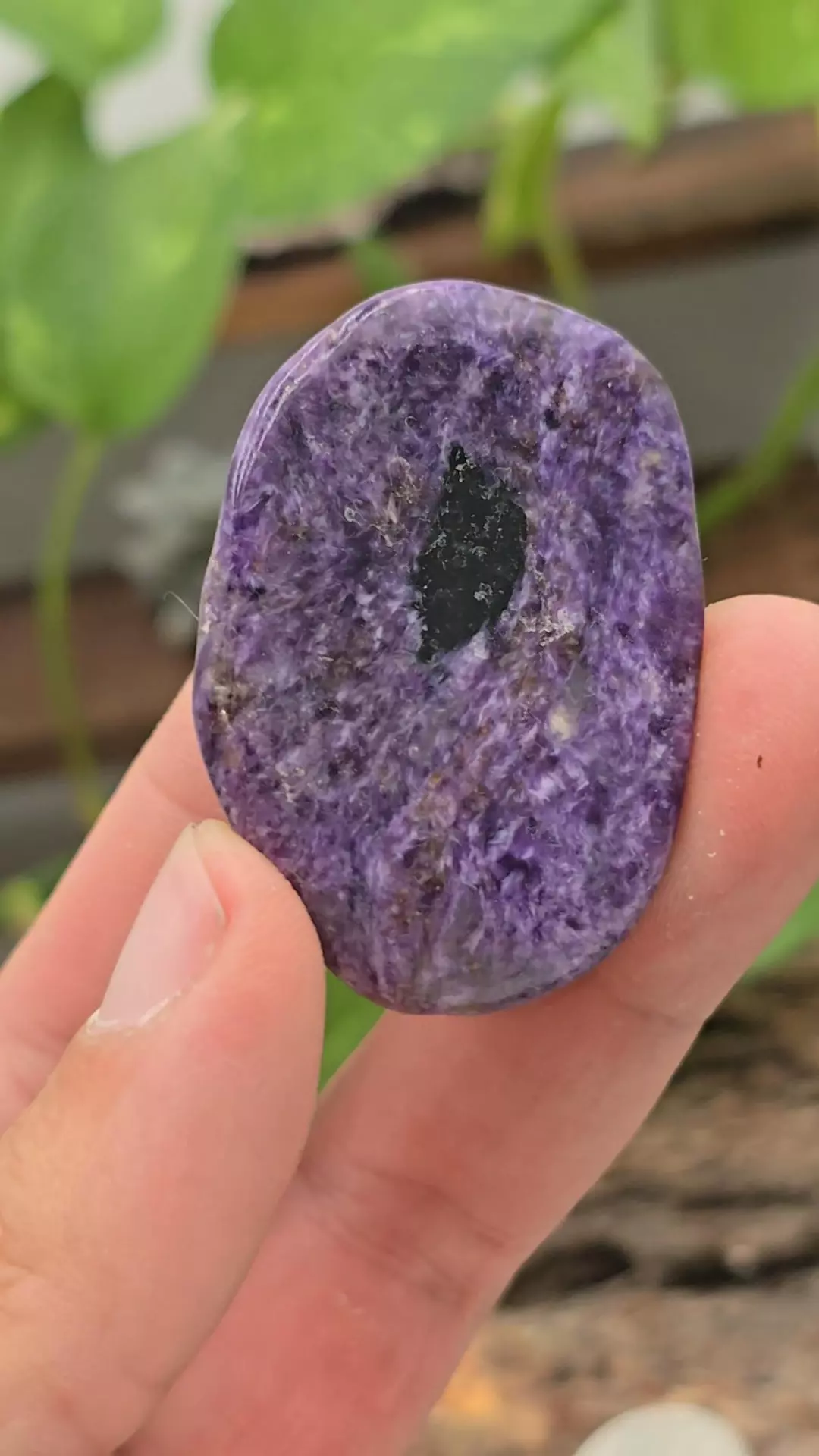 2" Charoite Freeform from Russia thumbnail
