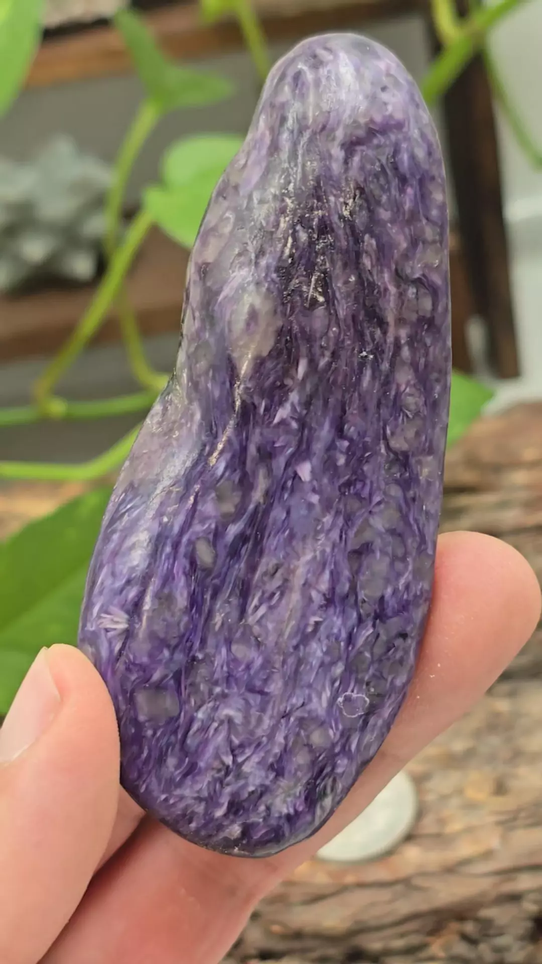 4" Charoite Freeform from Russia thumbnail