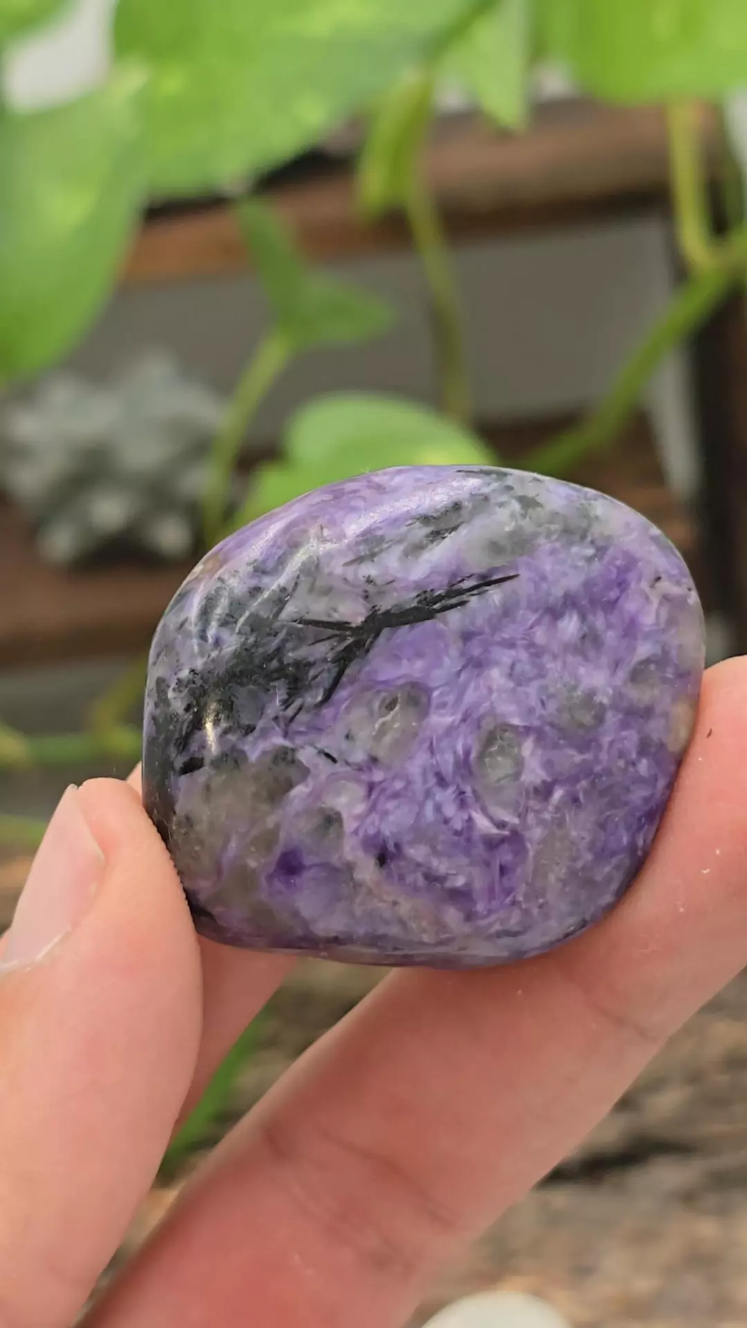 2" Charoite Freeform from Russia thumbnail