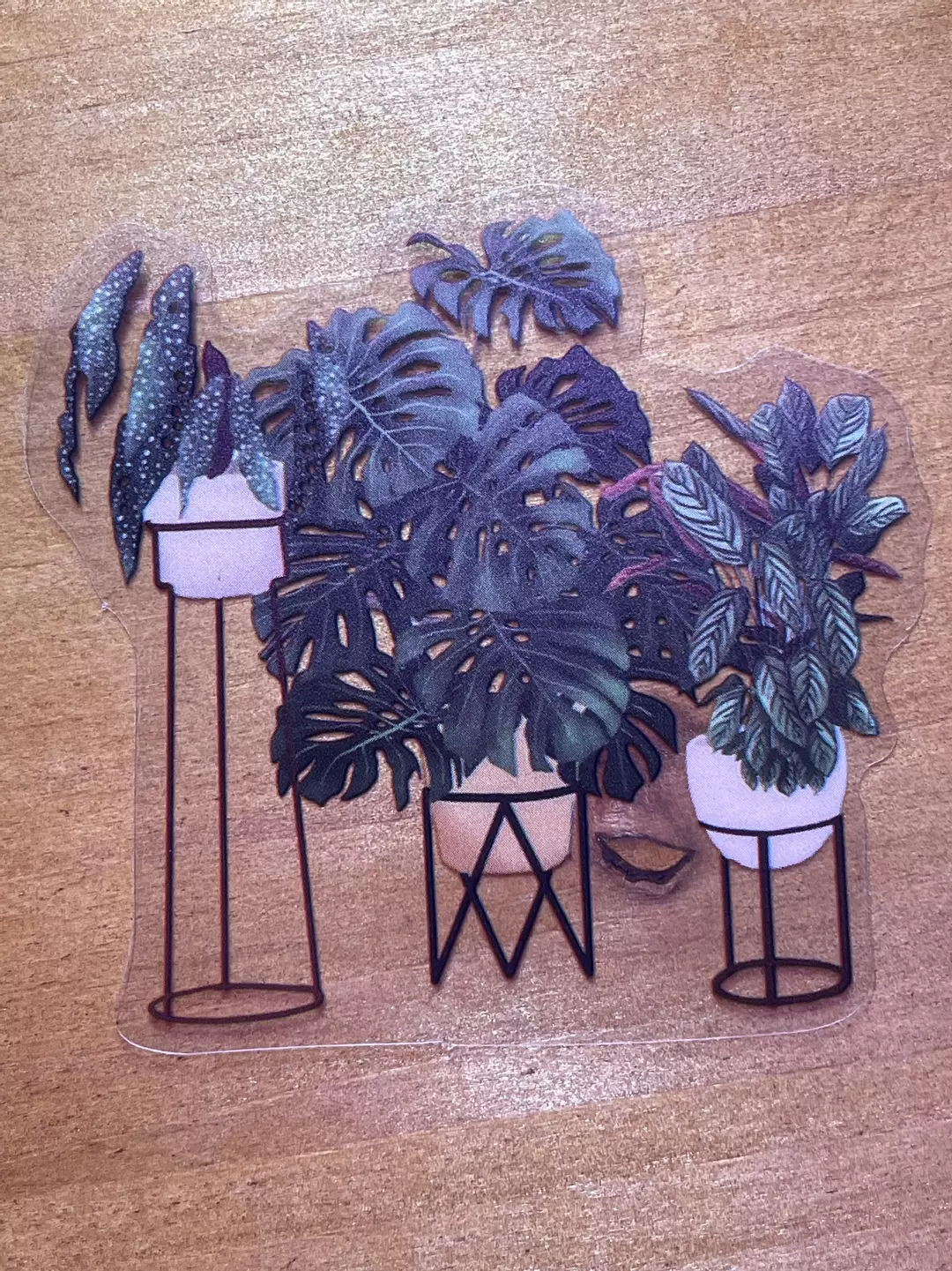 Handmade PET houseplant stickers thumbnail