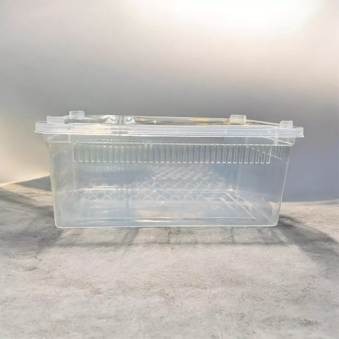 * lids have a small crack * medium critter keeper thumbnail