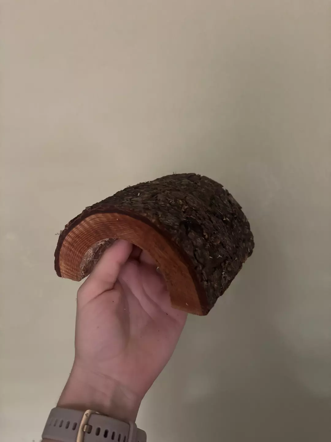 Wood hide thumbnail