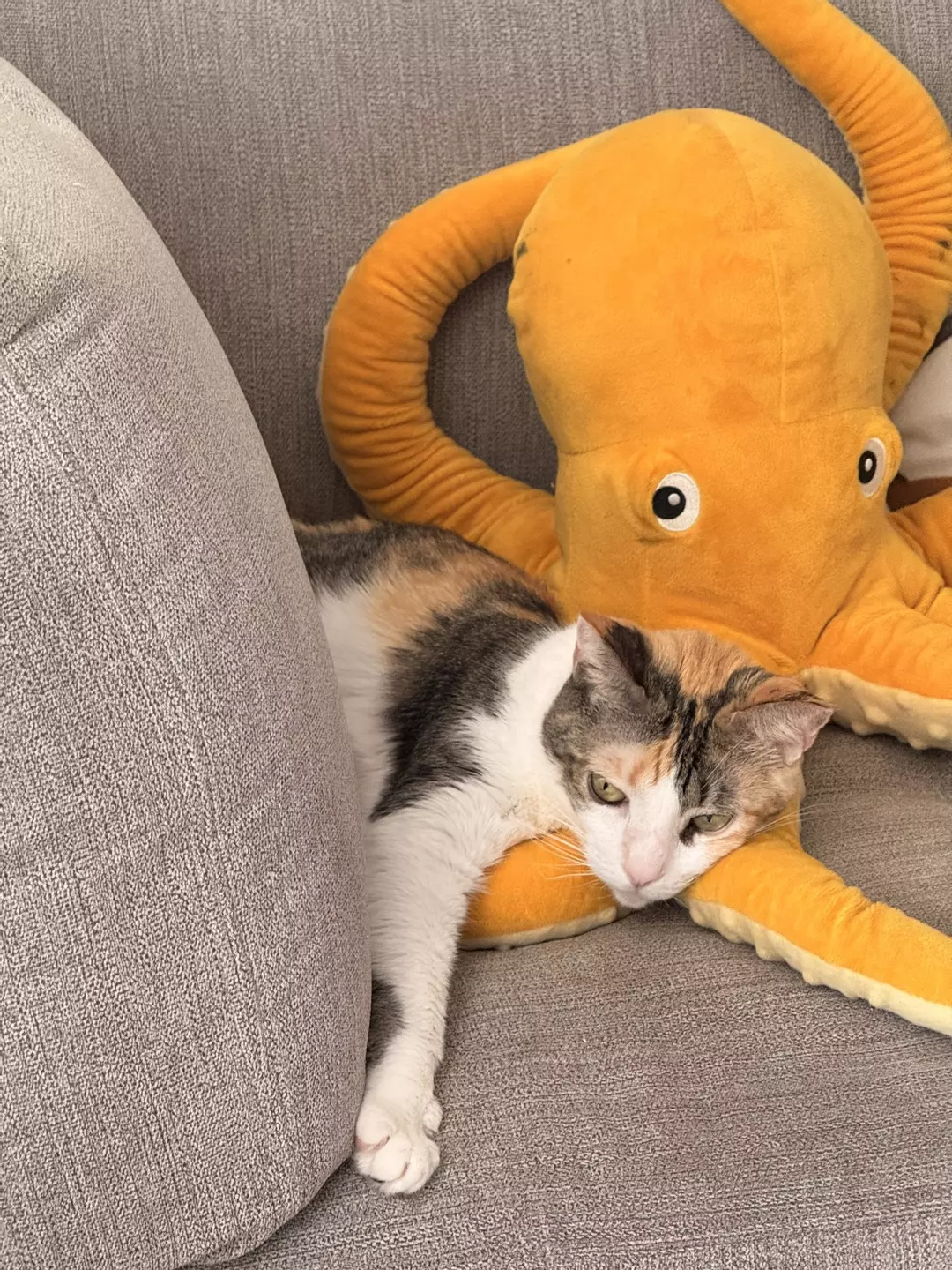 Cold Climate Bundle (Read Description) thumbnail