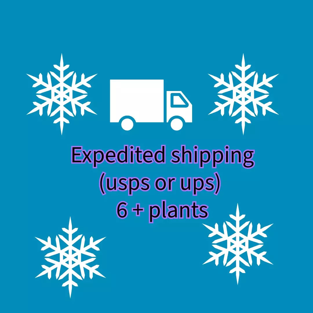 expedited shipping 6+ plants thumbnail