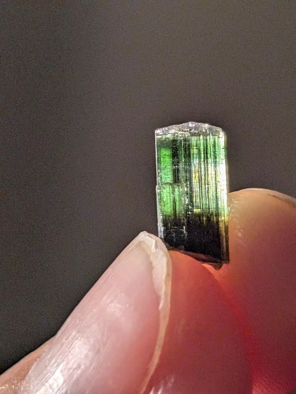 Stak Nala Tourmaline C thumbnail