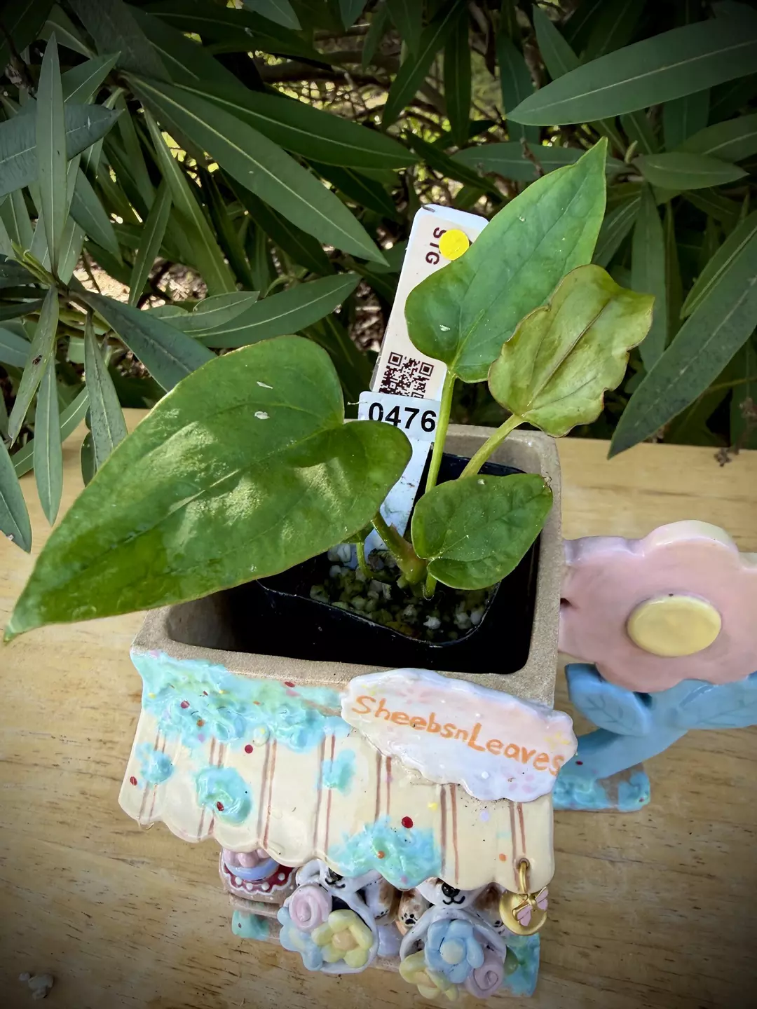 PapCarla x Dress 0475 thumbnail