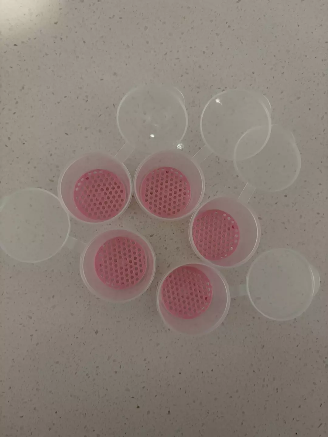 1oz Container Corm Risers Puddle Method (Set of 5) thumbnail