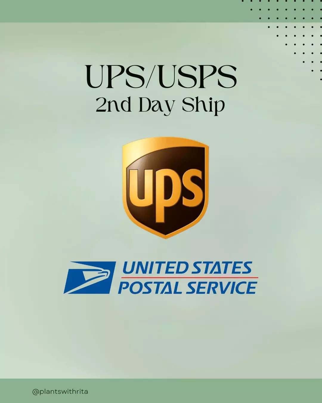 2nd Day Ship thumbnail