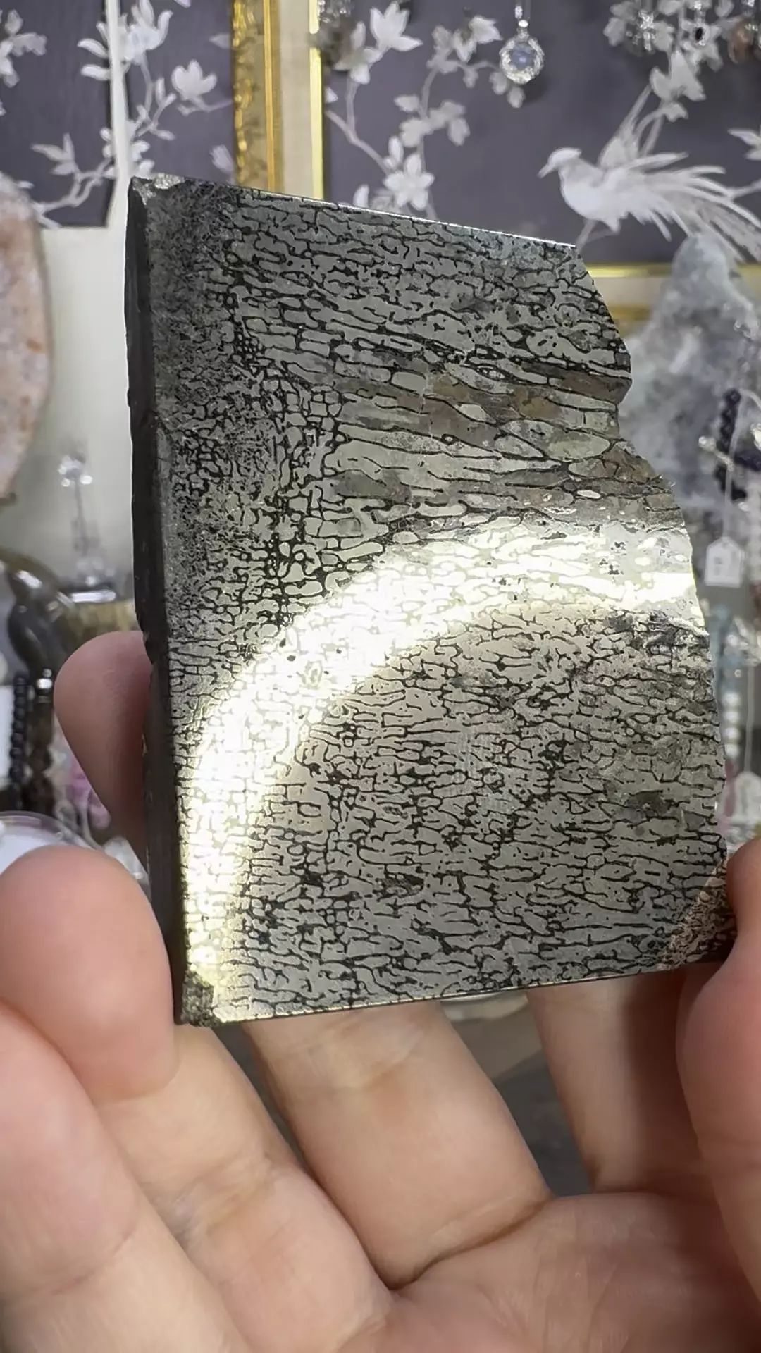 $330| 5.29oz Pyrite Replaced Pliosaur Bone From Volga River, Russia #5 thumbnail