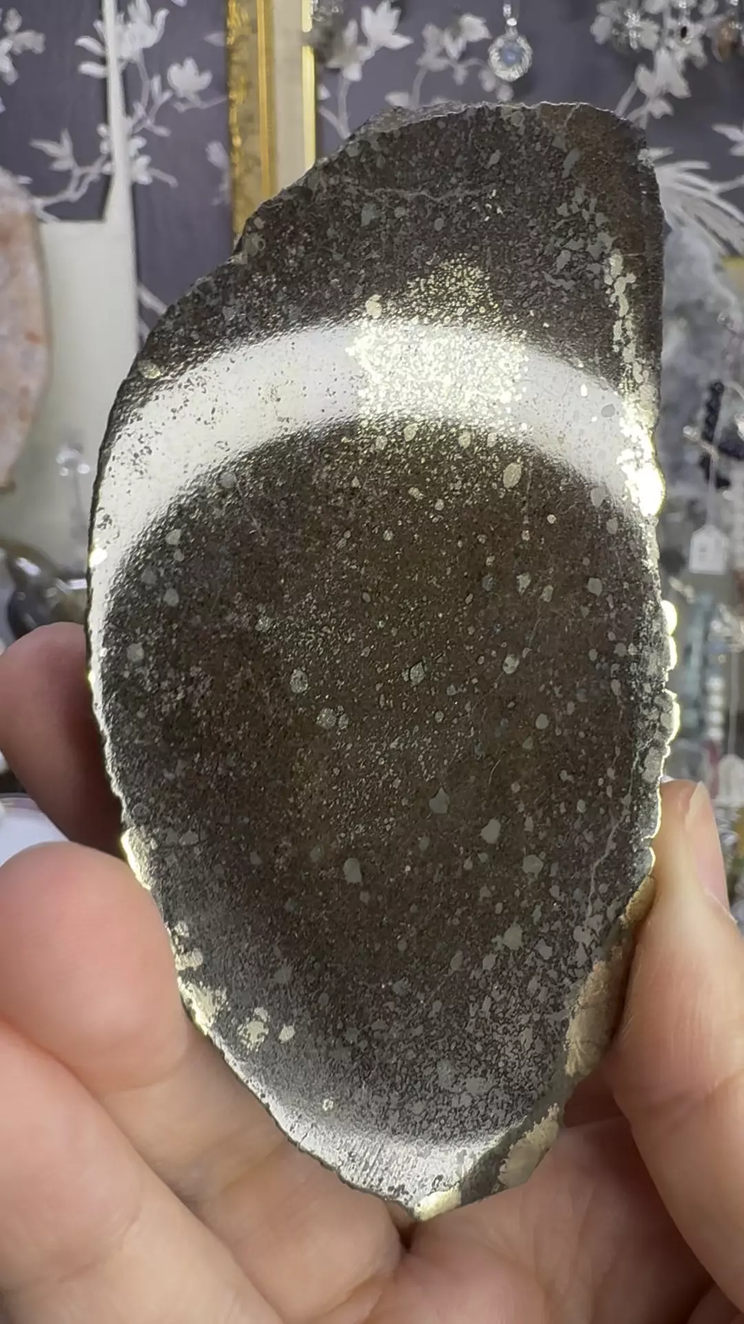 $299| 5.40oz Pyrite Replaced Pliosaur Bone From Volga River, Russia #6 thumbnail