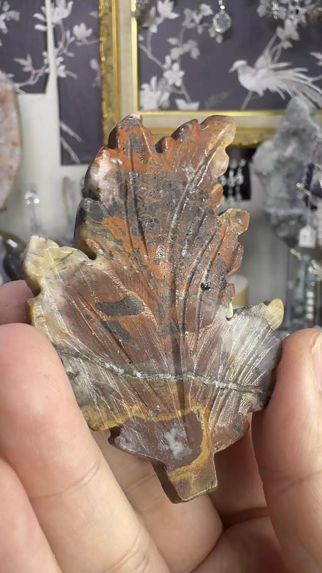 $15| Mexican Crazy Lace Agate Leaf #2 thumbnail
