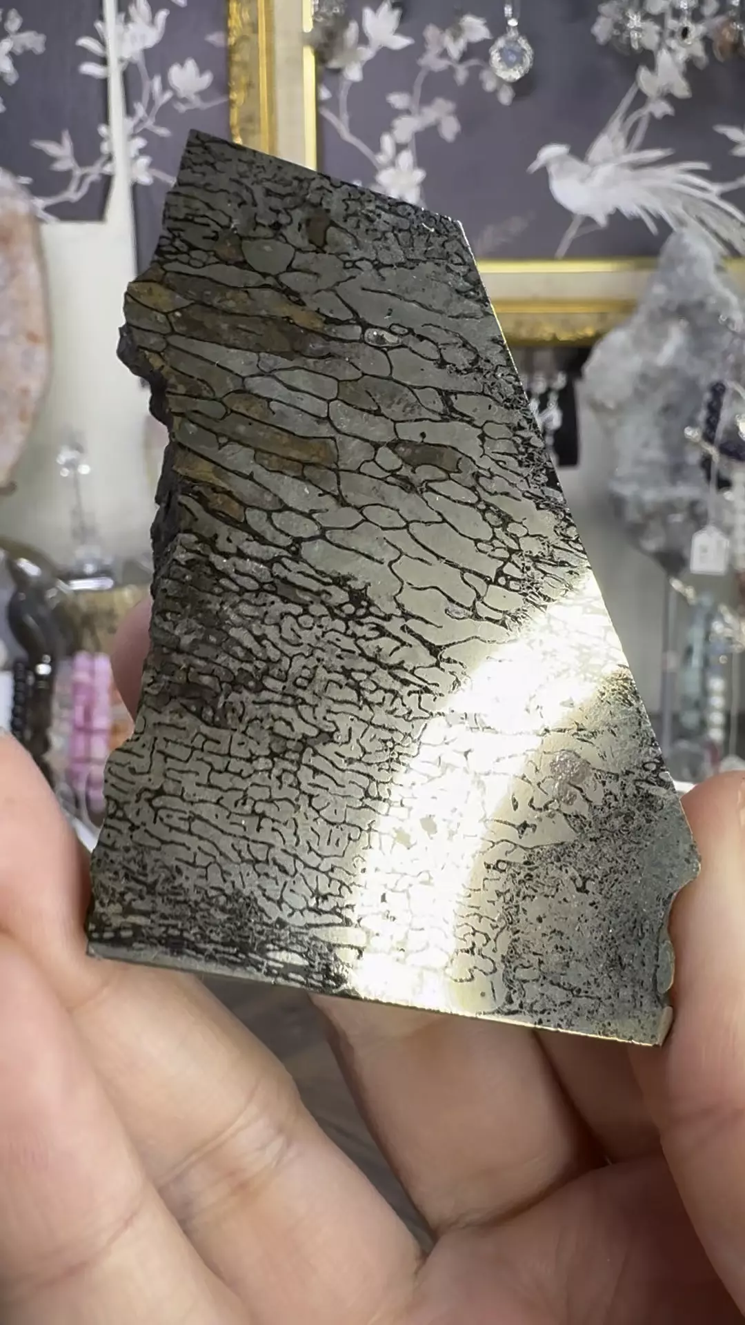 $220| 3.67 Pyrite Replaced Pliosaur Bone From Volga River, Russia #4 thumbnail
