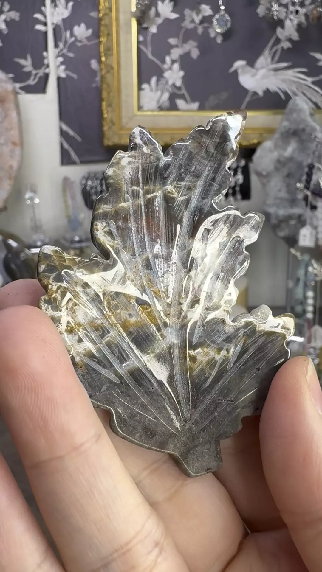 $15| Mexican Crazy Lace Agate Leaf #1 thumbnail