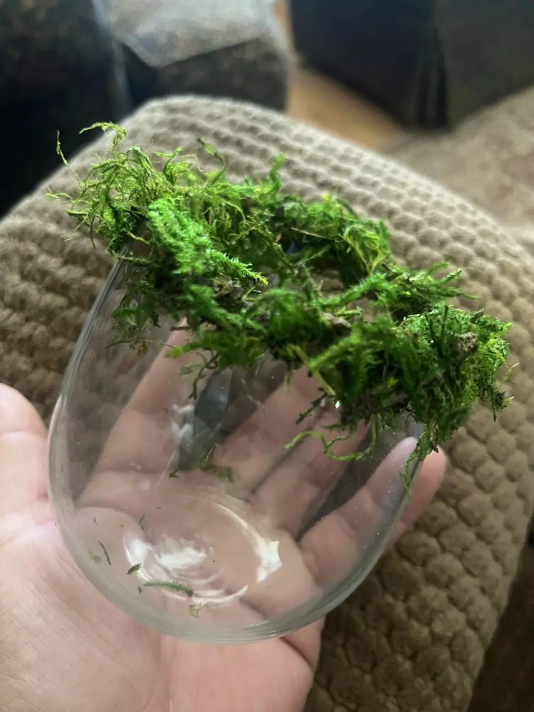 Mossy rim crafting bowl thumbnail