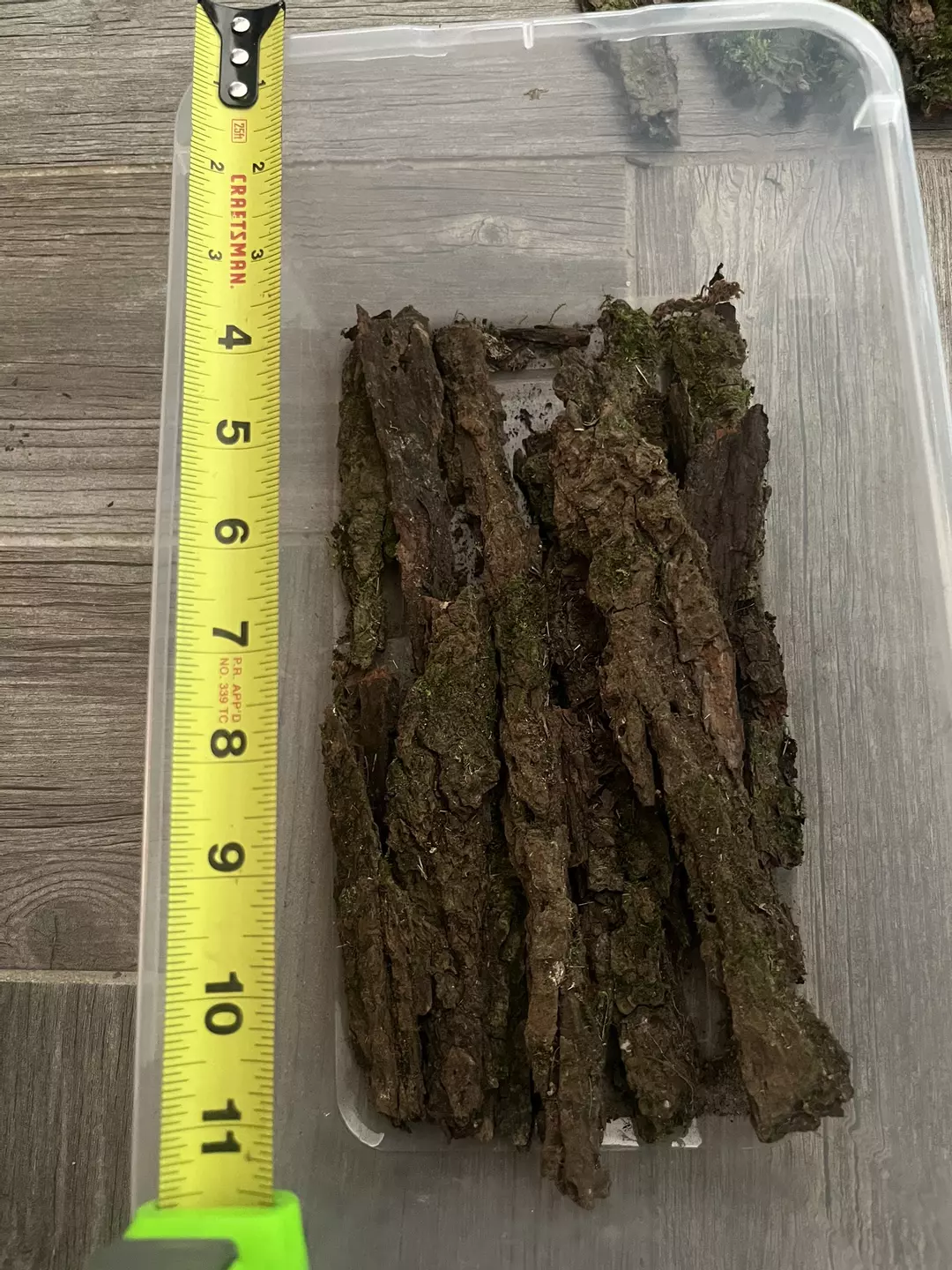 Light mossy bark bundle as pictured thumbnail