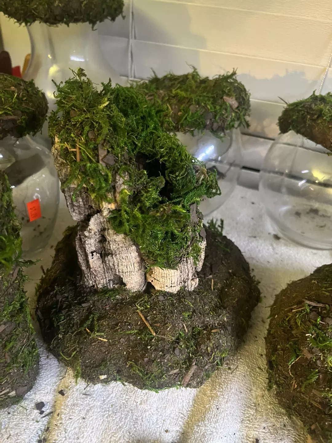 cork insert thumbnail