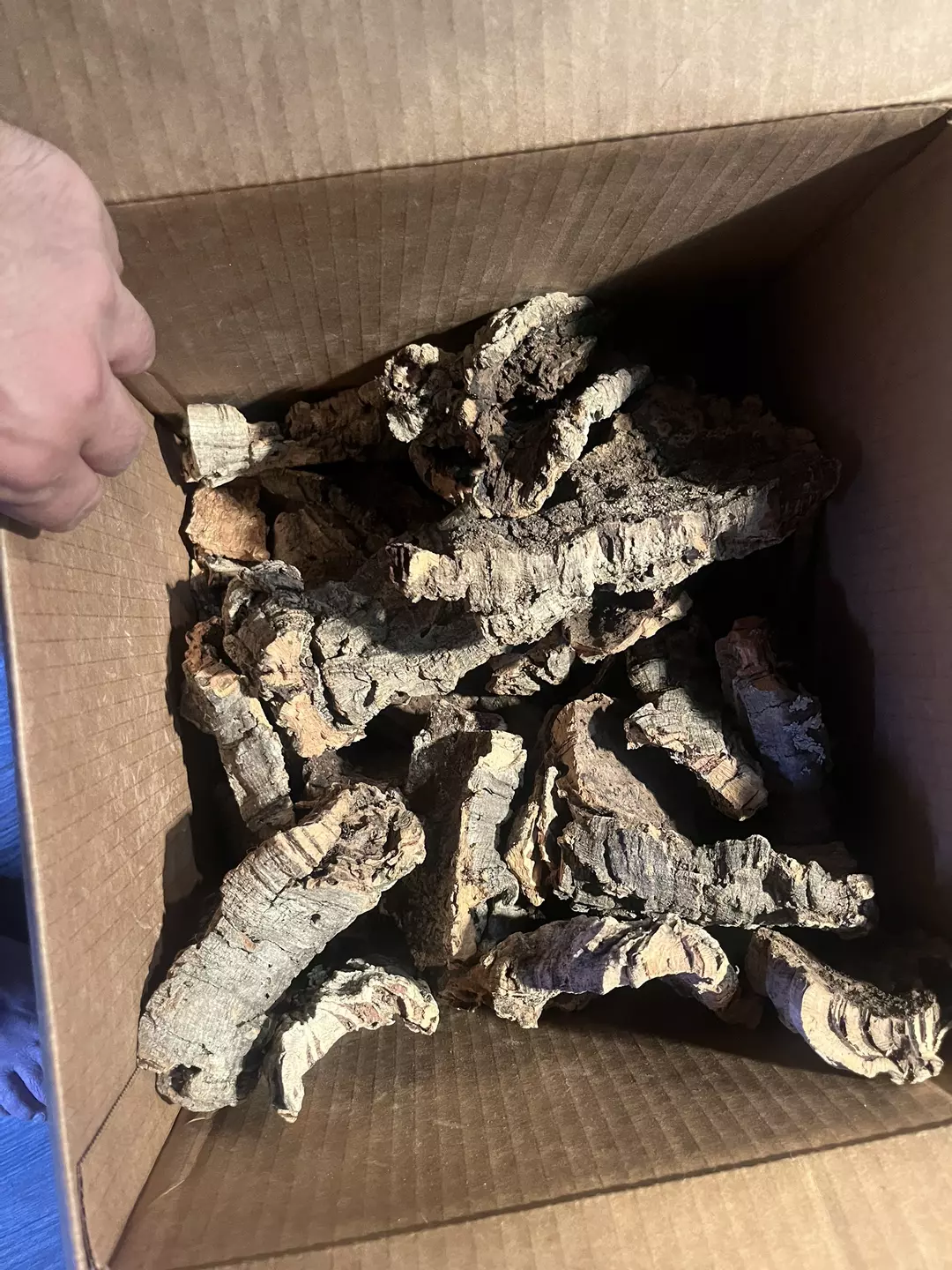 x3 cork scraps/ flats random pic out the box thumbnail