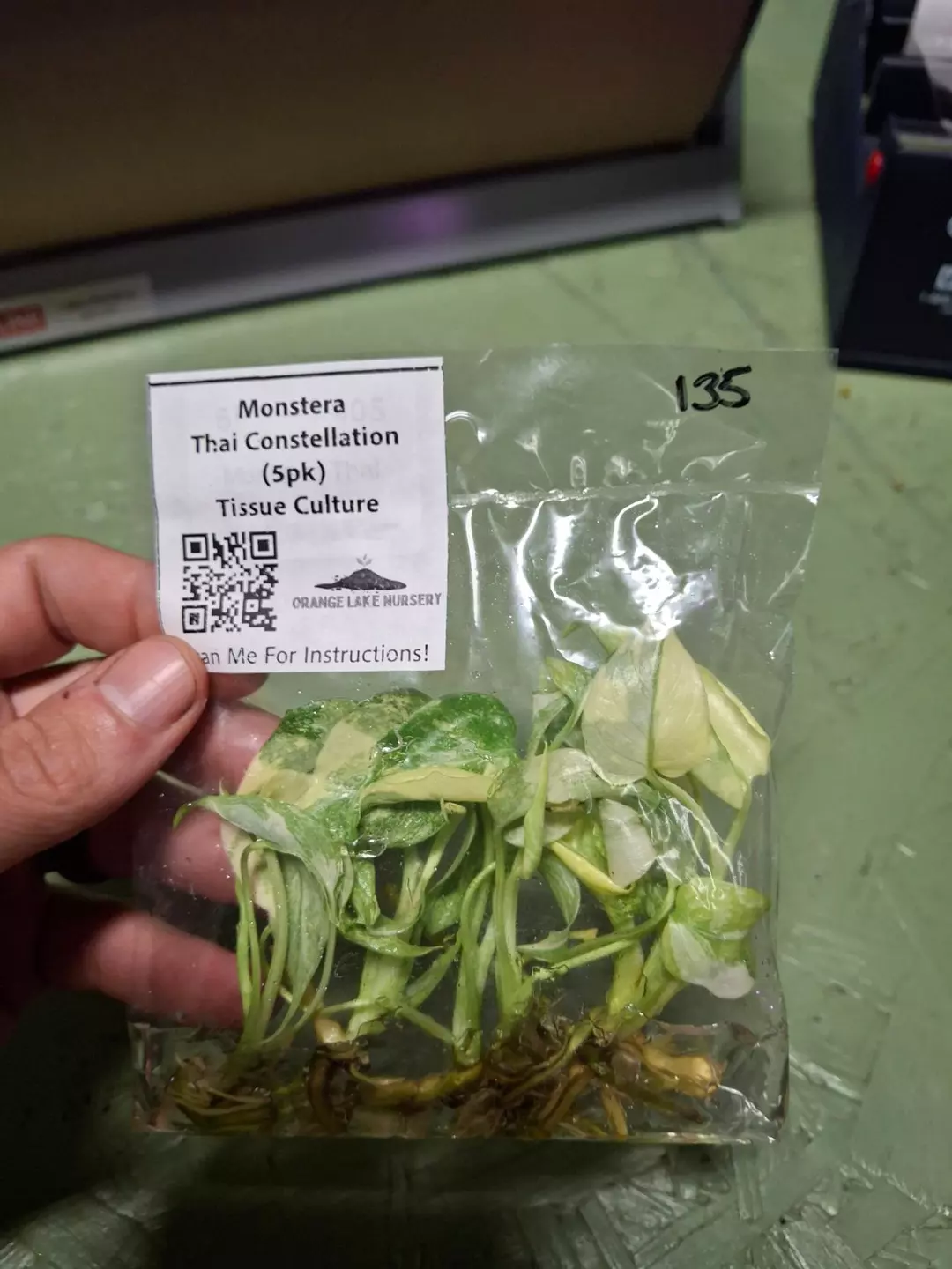 Tc Thai constellation 5pack thumbnail