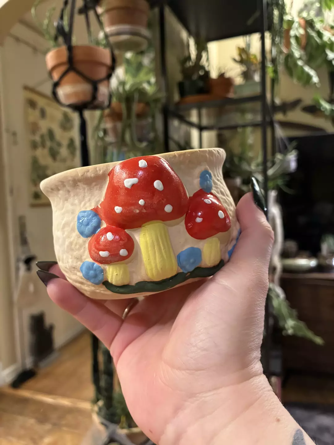Mushroom pot 3” with drainage thumbnail