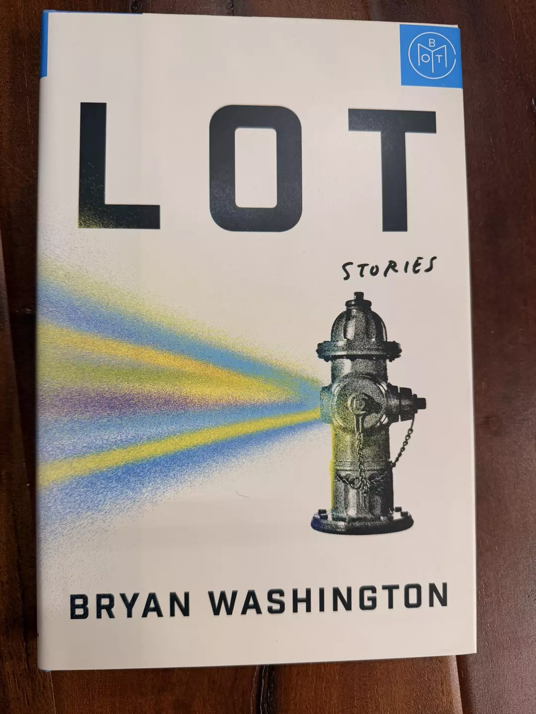 Lot by Bryan Washington thumbnail