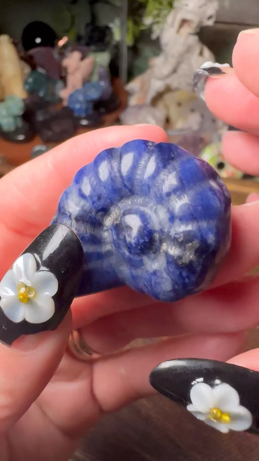 Sodalite Ammonite  thumbnail