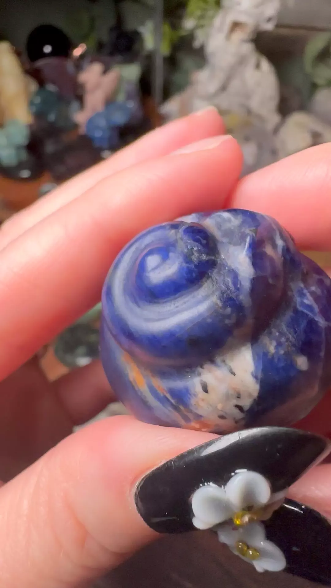 Sodalite Snail Shell thumbnail
