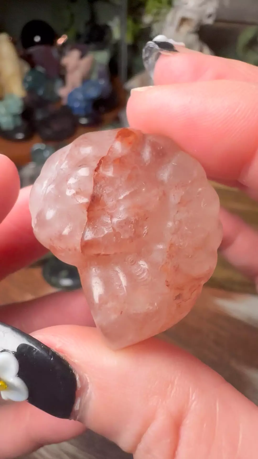Fire Quartz Ammonite thumbnail
